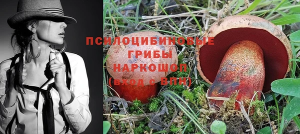 прущие крисы Вяземский