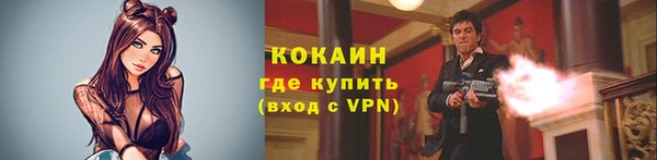 прущие крисы Вяземский