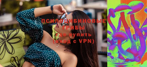твердый Вязники