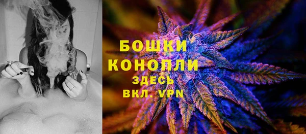 прущие крисы Вяземский